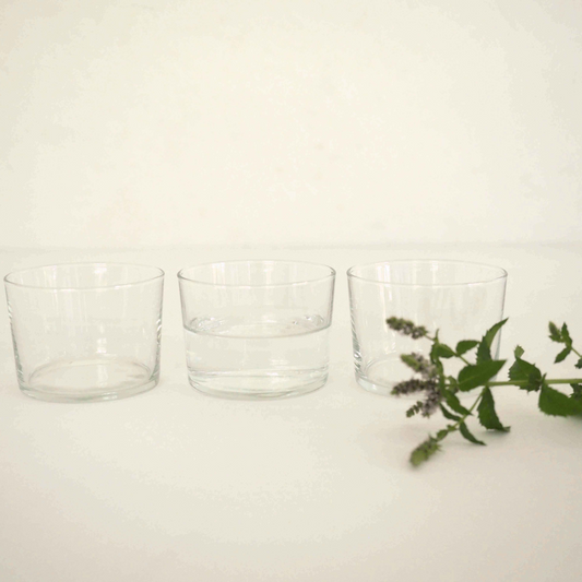 Bodega glazen 12 pcs